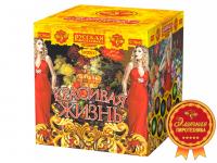 Красивая жизнь Фейерверк купить в Орле | oryol.salutsklad.ru