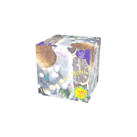 Новогодняя ночь Салют купить в Орле | oryol.salutsklad.ru