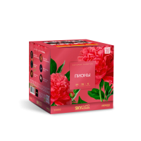 Пионы Салют купить в Орле | oryol.salutsklad.ru