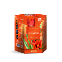 Тюльпаны Салют купить в Орле | oryol.salutsklad.ru