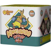 Кенгуру Батарея салютов купить в Орле | oryol.salutsklad.ru