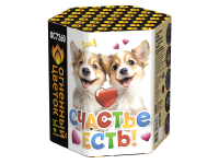 Счастье есть! Салют купить в Орле | oryol.salutsklad.ru