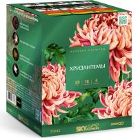 Хризантемы Фейерверк купить в Орле | oryol.salutsklad.ru