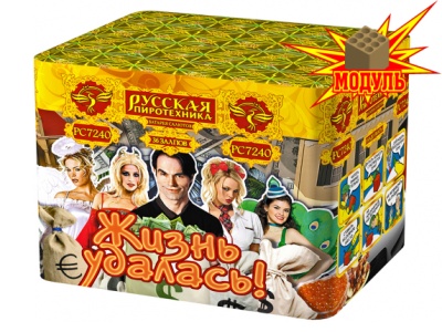 Жизнь удалась Фейерверк купить в Орле | oryol.salutsklad.ru