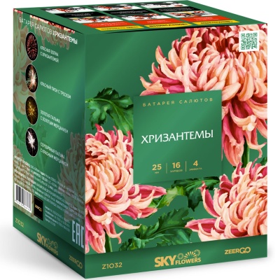 Хризантемы Фейерверк купить в Орле | oryol.salutsklad.ru