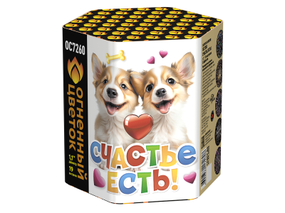 Счастье есть! Салют купить в Орле | oryol.salutsklad.ru